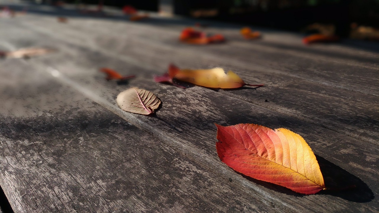 Crafting a Handmade Wooden Deck: A DIY Guide